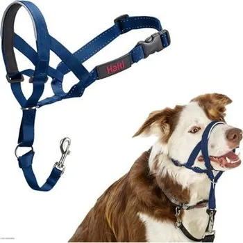 Postroj pro psa Ohlávka nylon Halti modrá vel. 2 - kokr, pudl COA