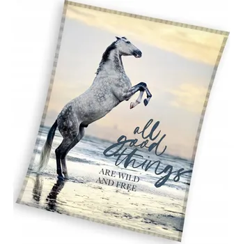 deka Deka 150x200 Mikrovlákno Přehoz Koně S Koněmi