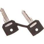 Sada klíčů Schneider Electric ZBG455 2 ks