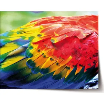 Plakát Sablio Plakát Barevné peří 2 - 60x40 cm