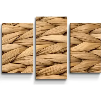 Obraz Sablio Obraz - 3-dílný Banánové listí 2 - 75x50 cm