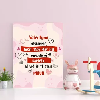 Plechová cedule Sablio Dárková cedulka Valentýna neslavíme ...: 30x40 cm