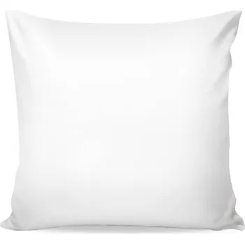 Polštář SKANTEX Polštář SKANTEX® rozměr: 40 x 40 cm