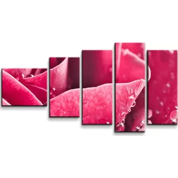 Obraz Sablio Obraz - 5-dílný Detail růže - 100x60 cm