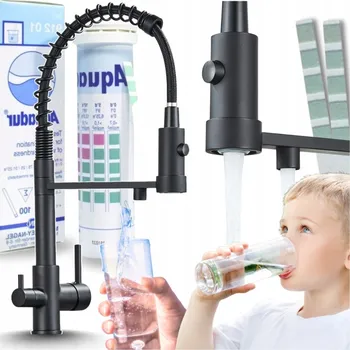 Vodovodní baterie Stojánková kuchyňská baterie Ari Solid Spring černá