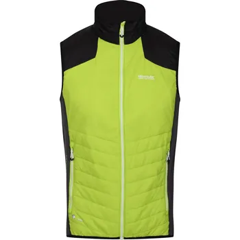 Pánská vesta Pánská vesta Regatta Halton BW VI Velikost: XXL / Barva: žlutá/černá