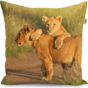 Polštář Sablio Polštář Lvíčata - 40x40 cm