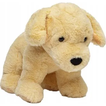 Obraz Štěně zlatého retrívra, 30 cm