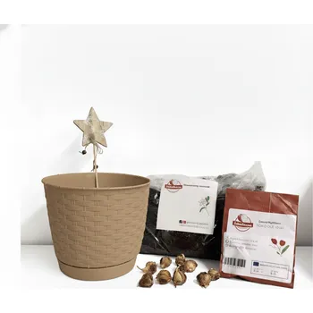 Obal na květináč Vypěstuj si štěstí – set pro pěstování čtyřlístku Barva: Mocca - 19 cm