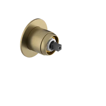 Vodovodní baterie Sapho ULTRAMIX tělo podomítkové sprchové baterie, 1 výstup, zlato mat - UT041G-1