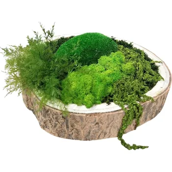 Mechdekor Mechová dekorace s kůrou průměr 29cm