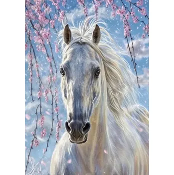 Diamantové malování Diamantové malování D5773 5D bílý kůň 30 x 40 cm bez rámu