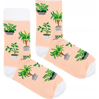 Pánské ponožky Ponožky Rostlinky 42-46