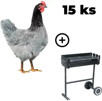Zahradní gril Kuřice Modrá 15 ks + zahradní gril TEXAS ZDARMA