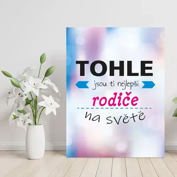 Plechová cedule Sablio Dárková cedulka Tohle jsou ti nejlepší rodiče na světě: 30x40 cm