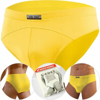 Slipy Pánské SLIPY klasického střihu, jemné MICROMODALOVÉ slipy Sesto Senso *L