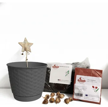 Květináč Vypěstuj si štěstí – set pro pěstování čtyřlístku Barva: Antracit - 19 cm