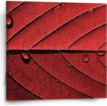 Obraz Sablio Obraz Červený list - 110x110 cm