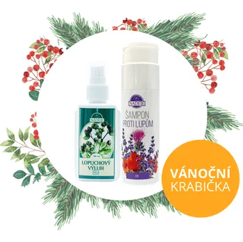 Dárková krabička Naděje - Vánoční krabička - Kosmetická krabička pro zdravé vlasy VB21 350 ml