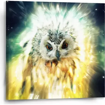 Obraz Sablio Obraz Sova - 50x50 cm