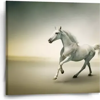 Obraz Sablio Obraz Bílý kůň 2 - 50x50 cm