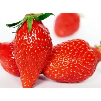 Semeno Jahodník 'Gariguette' Balení: frigo sadba A, balení 12 ks