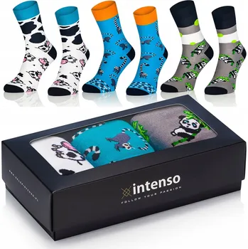 Pánská móda PÁNSKÉ PONOŽKY INTENSO 3 PÁRY Z_3 41-43