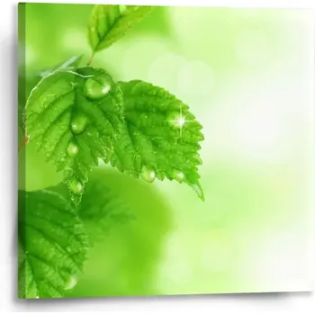 Obraz Sablio Obraz Listy 2 - 50x50 cm