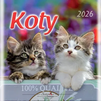 Kalendář Nástěnný kalendář Kočky koťátka 2026 33x33cm náhled na 3 měsíce