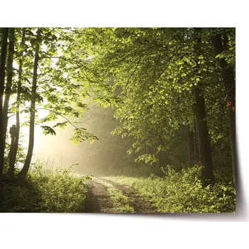 Plakát Sablio Plakát Lesní cesta - 60x40 cm