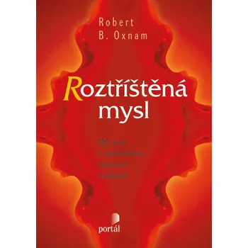 Kniha Roztříštěná mysl