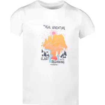 Dívčí oblečení Dívčí triko ALPINE PRO MATTERO 2 KTSR239 BÍLÁ 104-110