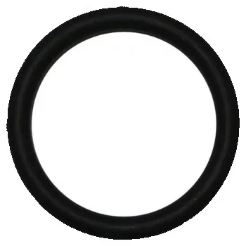 Příslušenství ke kotli O-kroužek, těsnění 26,58x2,62 na čerpadlo DAKON IPSE, DAKON DUA PLUS 28 - 1131 6040 / 87381016320 / 00260401