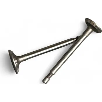 Sada ventilů Robin EY 20 nahrazuje originál díl číslo 282-33501-03