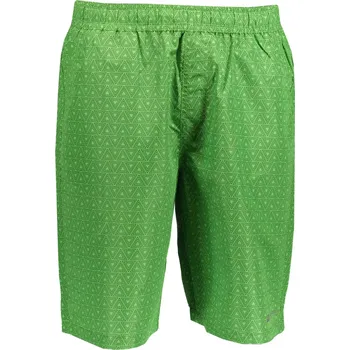 Pánské oblečení Pánské kraťasy ALPINE PRO KAEL 2 MPAN345 ZELENÁ M