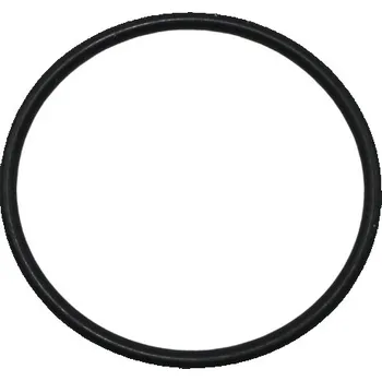 Příslušenství ke kotli O-kroužek sifonu pro odvod kondenzátu IMMERGAS VICTRIX 27 PLUS - 1.021452 / 1.019221