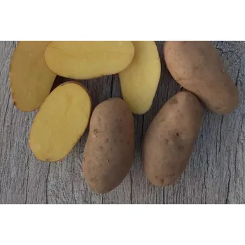 Brambory Valdivia rohlíček - typ A, 10 kg