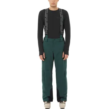 Snowboardové kalhoty Salomon Brilliant Pant M LC2635800 - green gables M