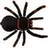 RC model ostatní Cute Sunlight Pavouk na dálkové ovládání tarantule černá
