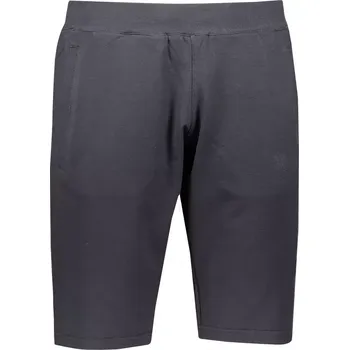 Pánské kraťasy Pánské kraťasy ALPINE PRO KARL 3 MPAN337 ŠEDÁ S