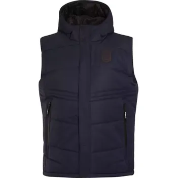 Pánská vesta Pánská vesta ALPINE PRO DARAH MVEY087 MODRÁ S