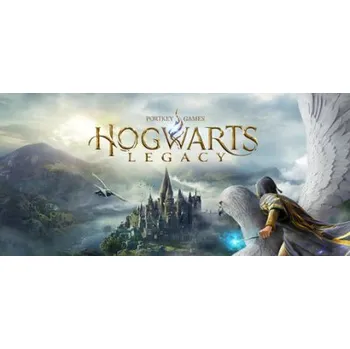 Počítačová hra Hogwarts Legacy, Steam