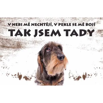 Plechová cedule Cedule v nebi me nechtejí, v pekle se me bojí R365