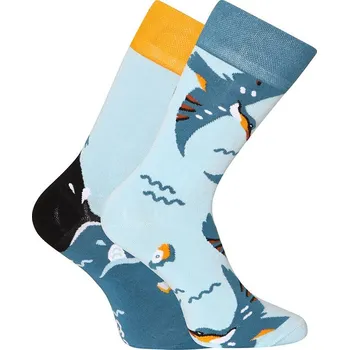 Pánské ponožky Dedoles Pták ledňáček D-U-SC-RS-C-B-1552 S