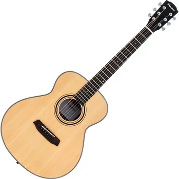 Kytara Pasadena PT-100 Natural Akustická kytara (Jako nové)