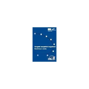 Evropská energetická bezpečnost - Šárka Waisová, kolektív autorov Aleš Čeněk