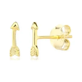 Náušnice Náušnice SVLE3332XJ6GO00 - SVLE3332XJ6GO00 JVD SVLE3332XJ6GO00