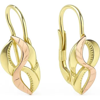 Oblečení a móda Zlaté náušnice vícebarvené