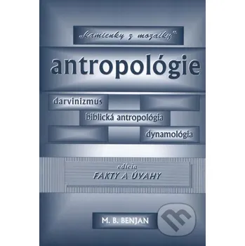 "Kamienky z mozaiky" antropológie - Benjan Benjan