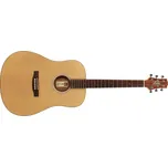 Ashton D20SW barva NTM (přírodní)